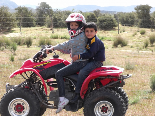  全地形车上的小家伙们 